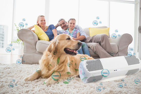 Desinfetante de ar ABS com bolor privado mata vírus da gripe H1N1 bactérias fungos OEM/ODM