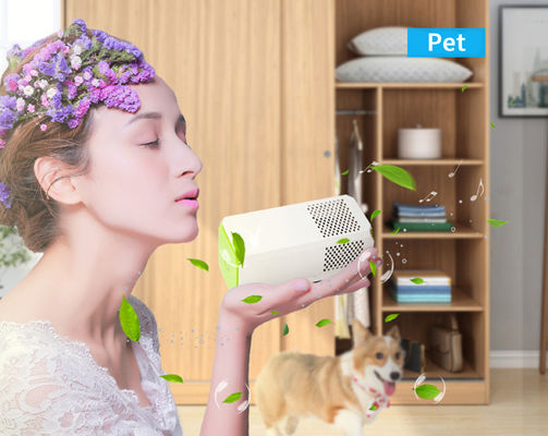 Purificador de ar de cozinha para banheiros e quartos pequenos Perfeito para remover alérgenos, pólen e odores