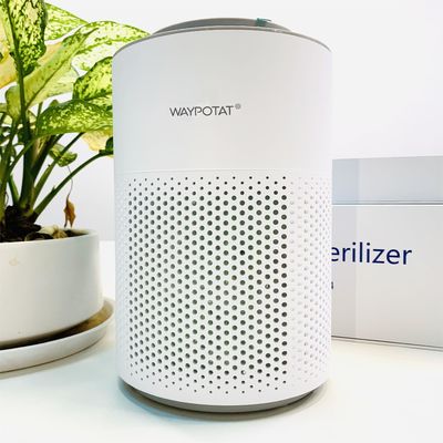 Purificador de ar de íons brancos Plasma Purificador de ar de plasma Ionizador de plasma 55Db