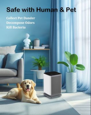 Purificador de Ar para Desinfeção de 4,2 kg, Ar Limpo e Saudável a 12V DC com Certificações FCC