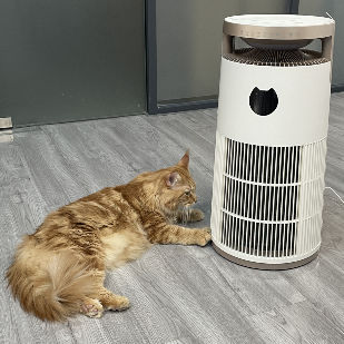 VDETTE HP01 Ozon HEPA purificador de ar com temporizador 220V Branco